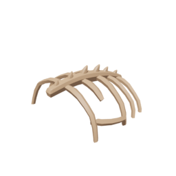 Large Bones